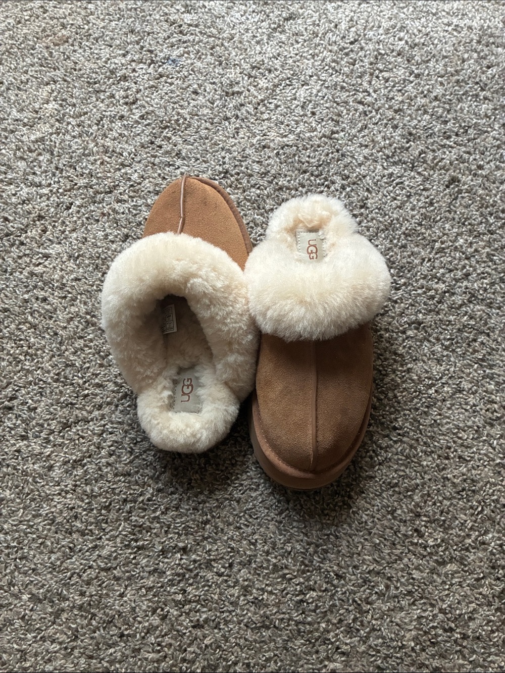 UGG Women's Chestnut Suede Sheepskin Slippers with Cream Fur Collar